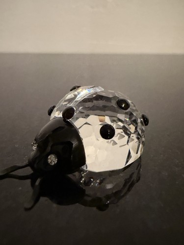 Swarovski ladybird clear - ladybird,