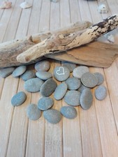 20 small flat beach pebbles