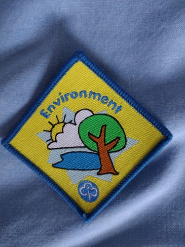 Brownies environment badge - brownies,