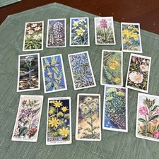 wills cigarette cards wild