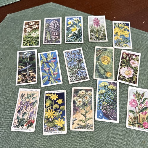 Wills cigarette cards - wills, wild
