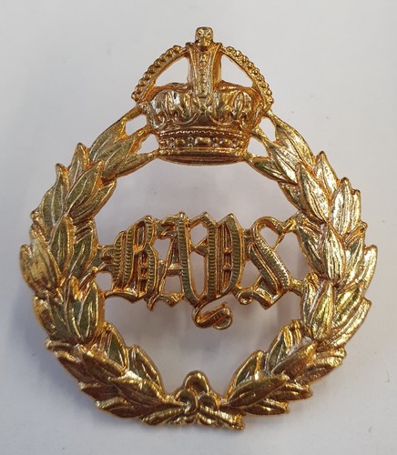 Army cap badge - badge, queens