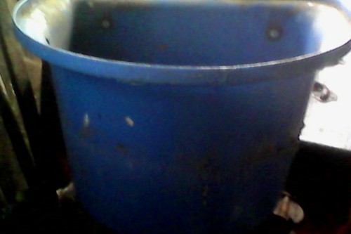 Horse feeding buckets good - buckets,