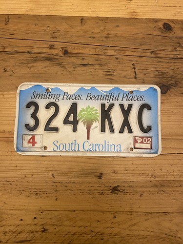 Vintage south carolina smiling - vintage,