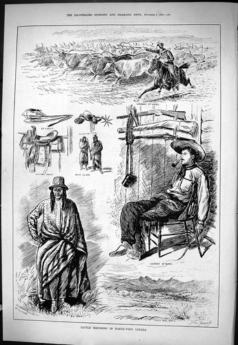 Old 1883 cattle - old, ranching
