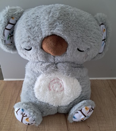 Cute soothing koala calming - cute,