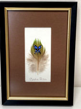 Hand Painted Costa Rica