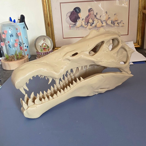 Spinosaurus skull 250mm - spinosaurus,