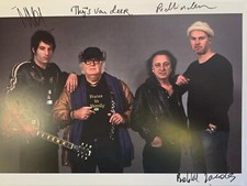 FOCUS Signed presentation size