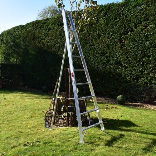 Garden ladder tripod fixed - garden,