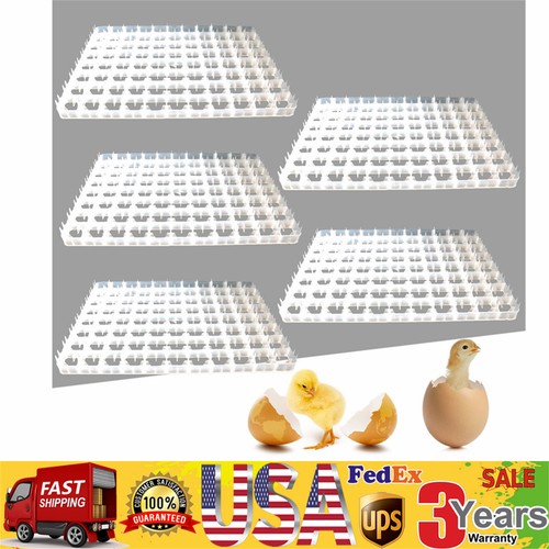 Pcs egg incubator - incubator, tray