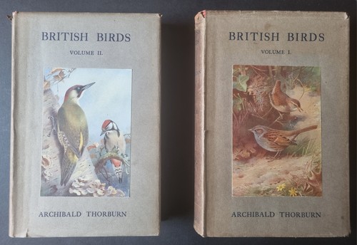 1925 x vols british - 4,