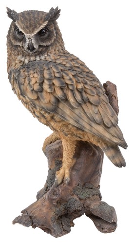 Long eared owl lifelike - owl,