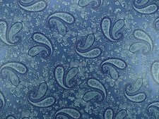 Midnight Blue Backed Blue