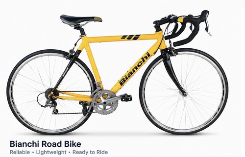 Bianchi giro road - giro,