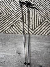 Leki Titanium Trekking Poles