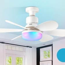Ceiling Fans with Lights and