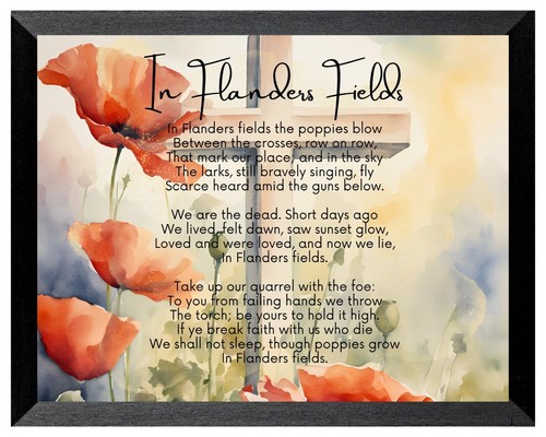 Flanders fields where - in,