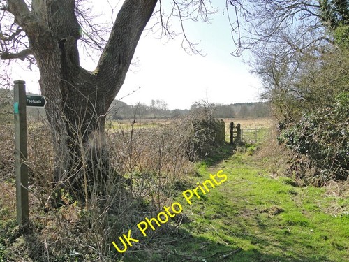 Photo 6x4 footpath - photo,