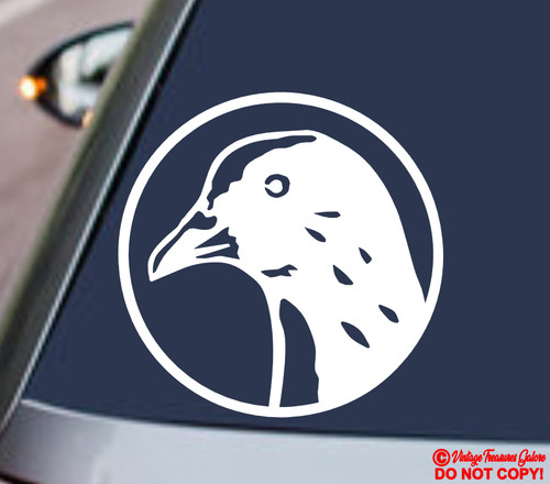 Pigeon rock dove domestic - rock-dove,