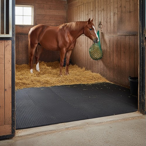 Eva stable floor - stable, 6ft