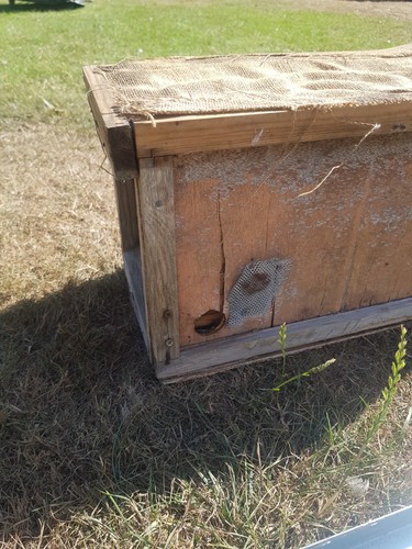 Frame nucleus bait - frame,