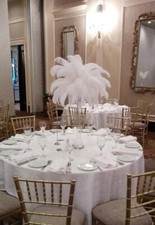 Ostrich Feather Centerpiece
