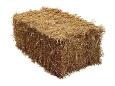Quality wheat straw - quality, bale