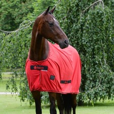 Bucas Sports Line Cooler