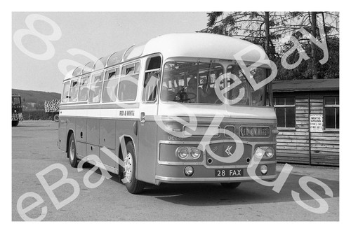 Bus photograph red white - photograph, &