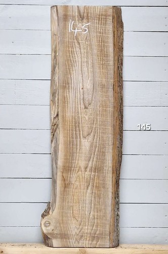 Elm live edge timber 1230mm - timber,