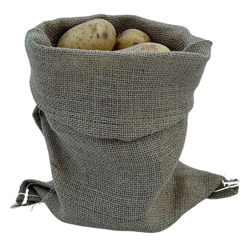 Bramley sage 30cm x - sage,