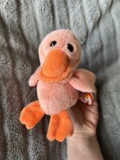 Ty Beanie Baby Quacker Jax