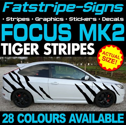 Fits ford focus graphics - fits,