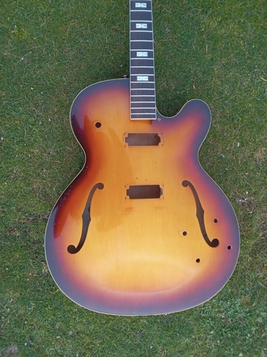 1960 epiphone guitar - 1960,