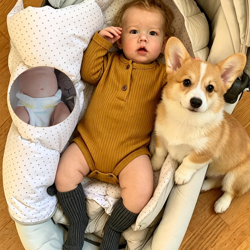 Zero pam reborn baby - zero, 50