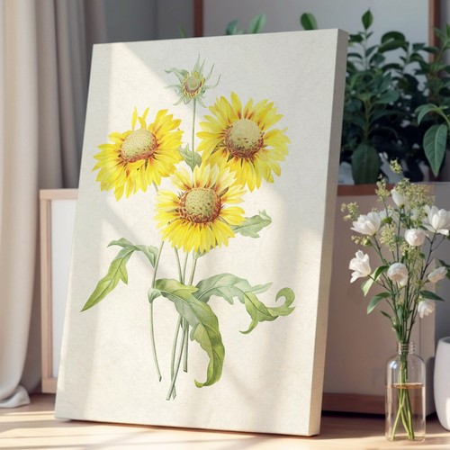 Yellow blanket flowers - yellow,