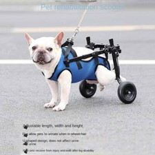 S/M/L Adjustable Dog