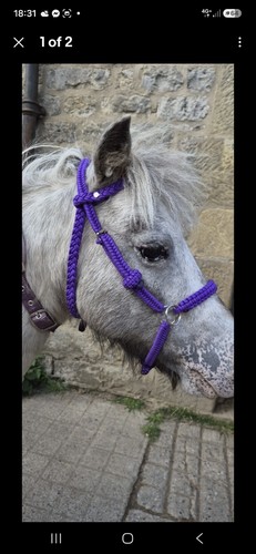 Hand made bitless - bitless, bridle