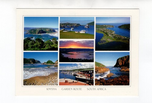 Postcard knysna garden - postcard,
