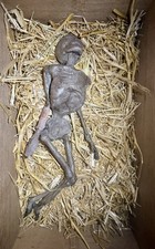 Mummified Alien Sideshow Gaff