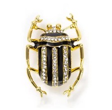 Stripey Crystal Beetle Bug