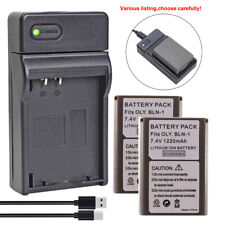 BLN-1 Battery or charger for