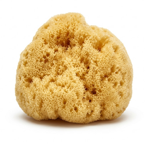 Luxury natural sea sponge - luxury,