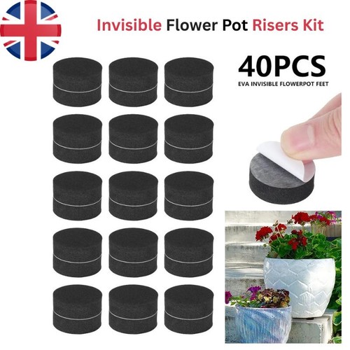 40x pot feet pots - 40x, plant
