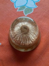 Vintage Lucite Preserved