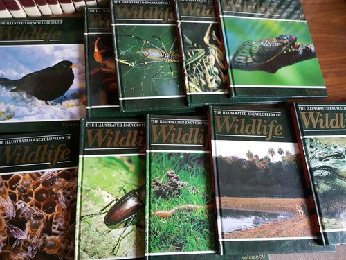 Illustrated encyclopedia - illustrated,