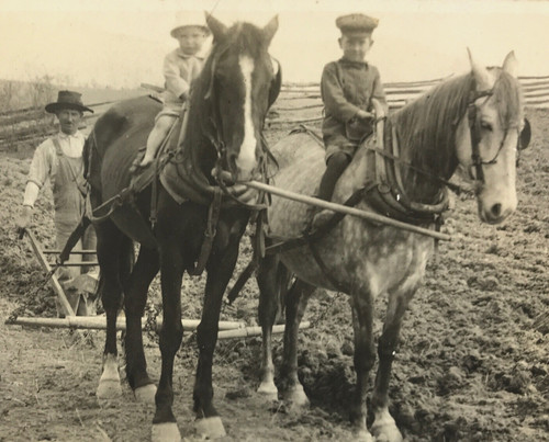 Rppc horse drawn farm field - drawn,