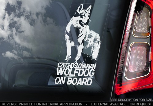 Czechoslovakian wolfdog dog - wolfdog,