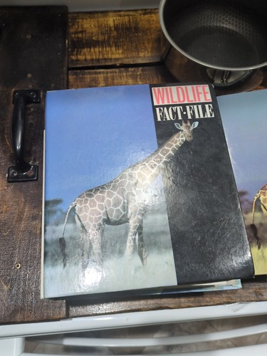 Wildlife fact file binders - fact,